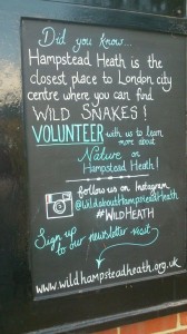Advertising for volunteers on Hampstead Heath