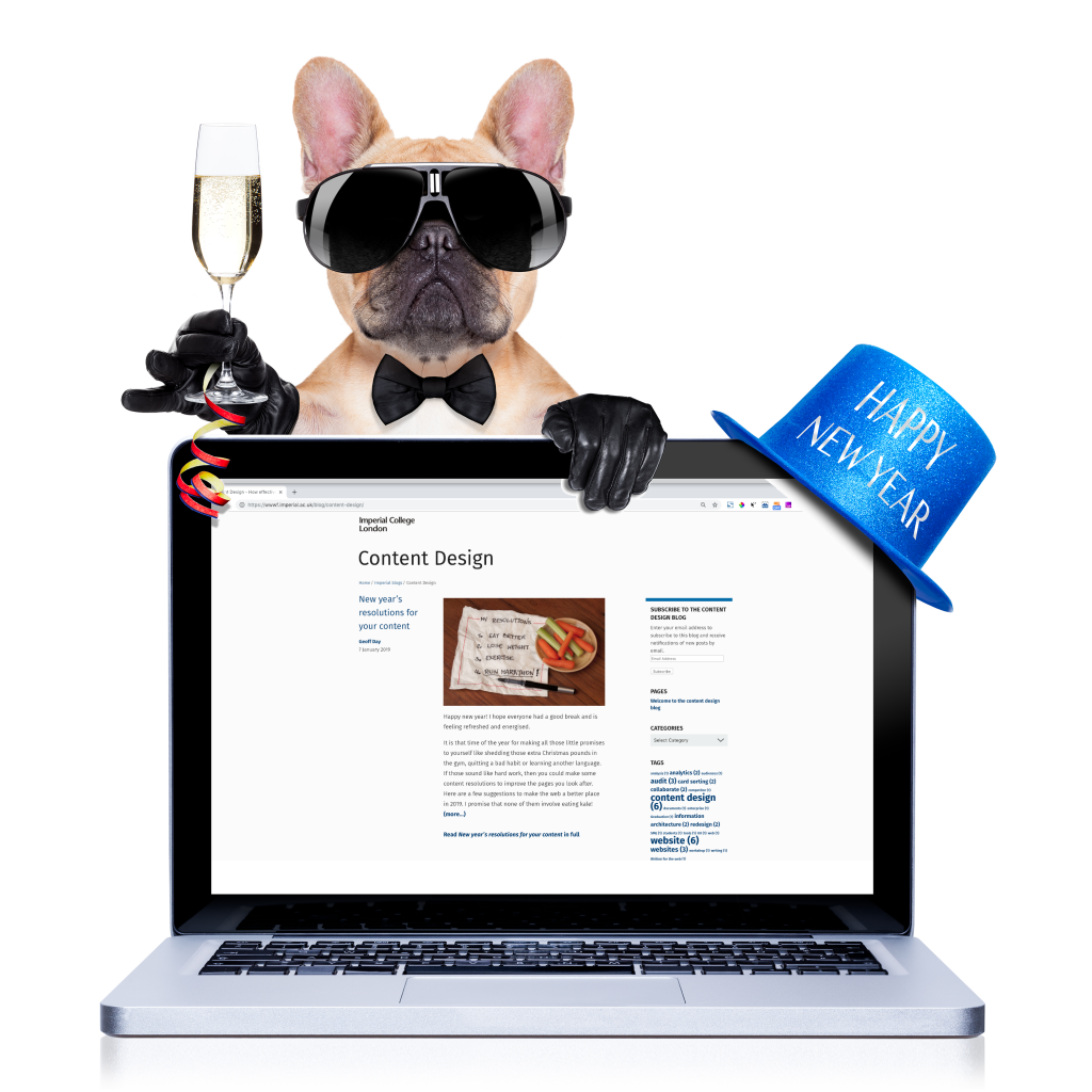 Small dog wearing sunglasses with a glass of champagne holding a laptop displaying the Content Design blog.