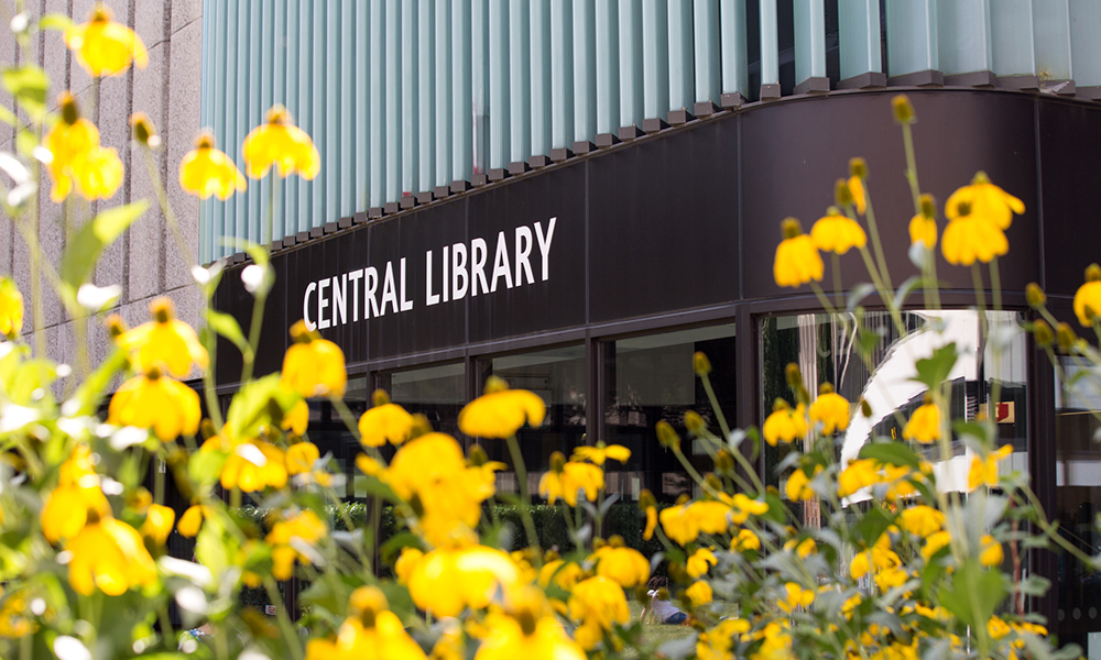 A photo of the Central Library at Imperial's South Kensington Campus with yellow flowers in the foreground
