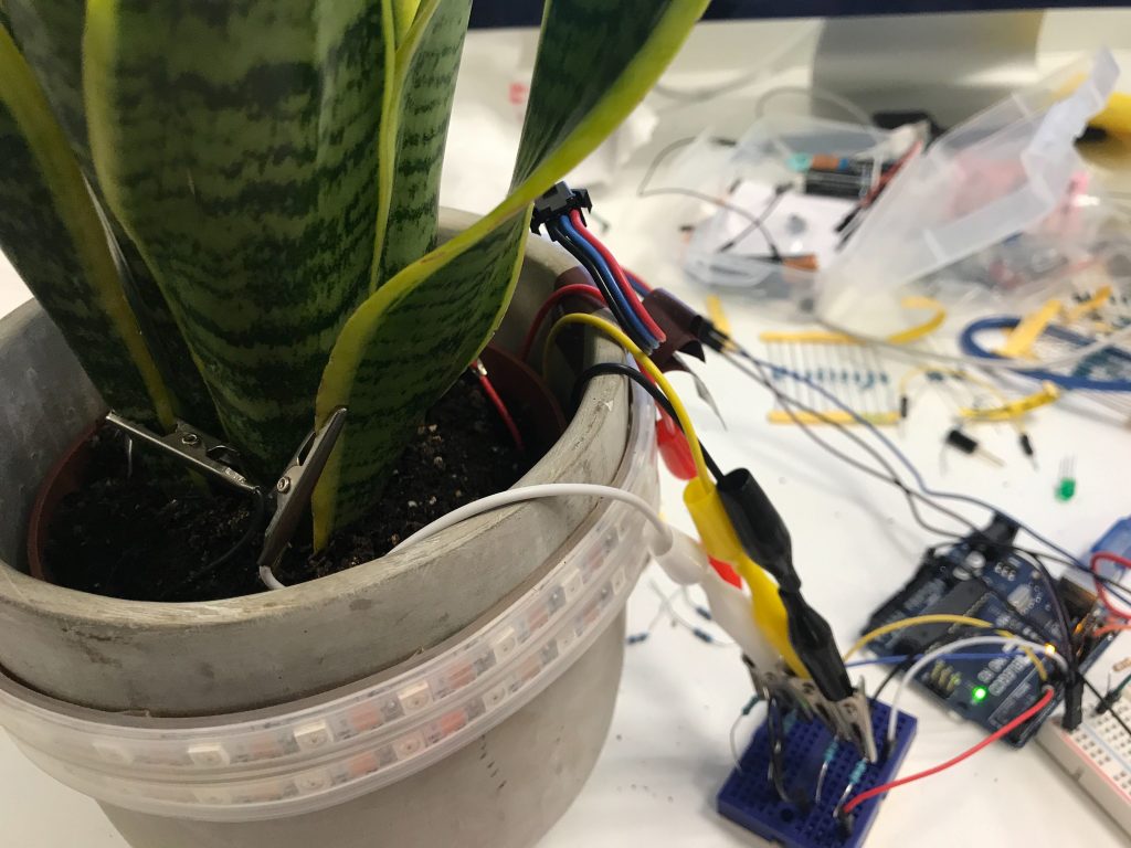 A photograph of a plant connected to electronics