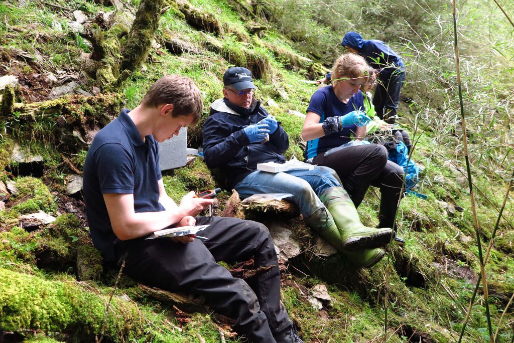finding and swabbing the elusive Hynobious salamanders at 4000m in the Hehuan mountains. Courtesy of Yeh Ta-Chuan.