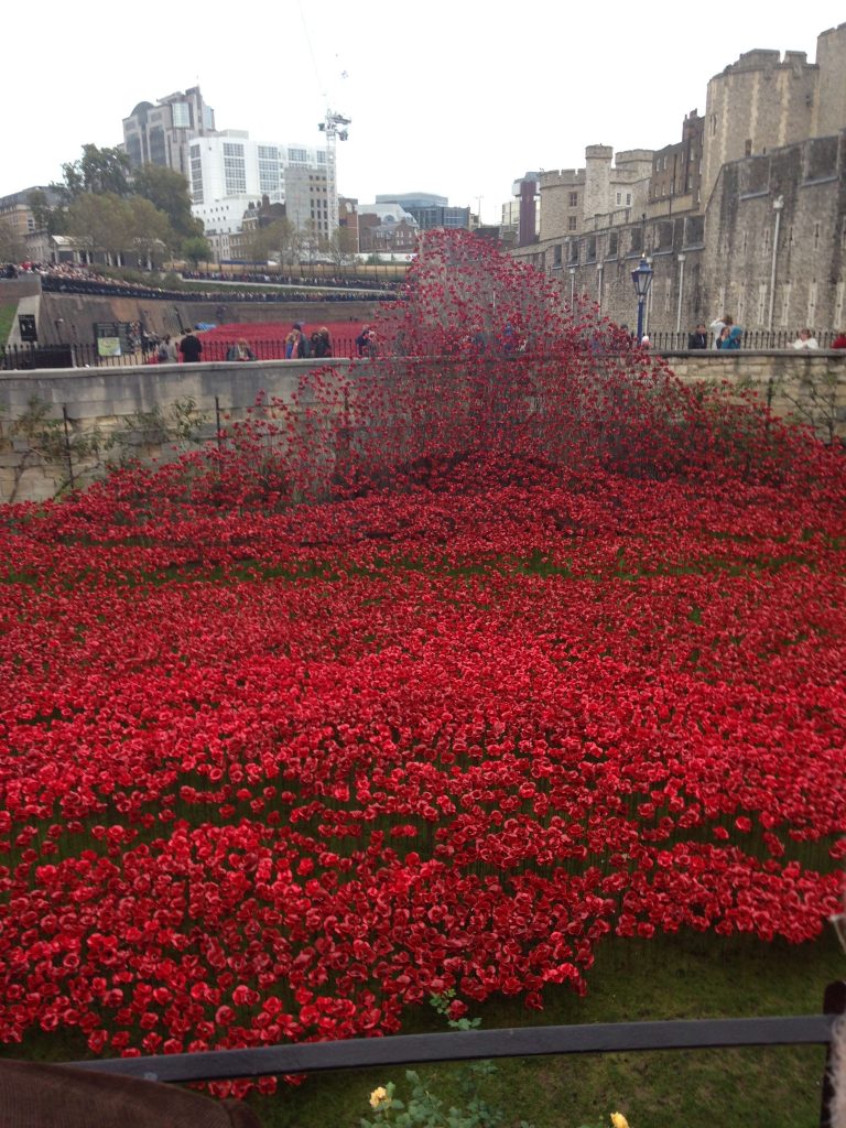 poppies2