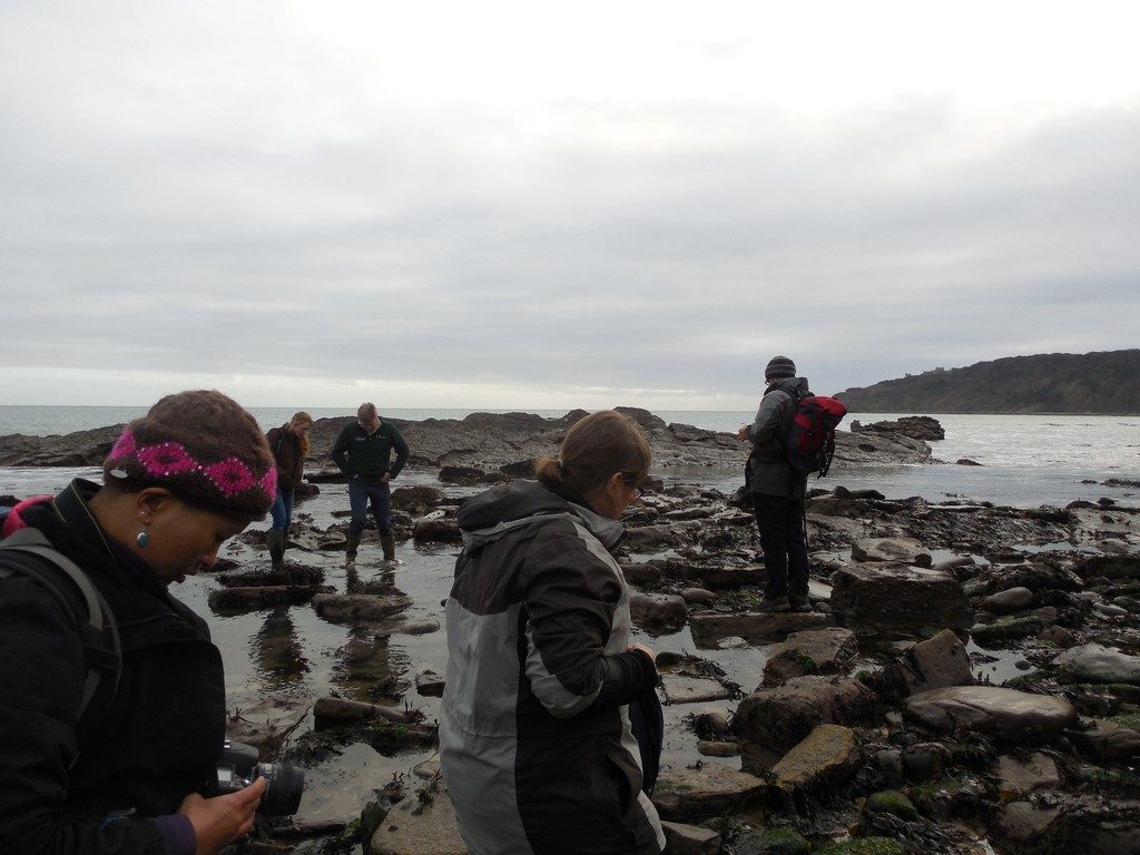 Rockpooling in Swanage