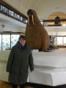 Meeting the Horniman walrus