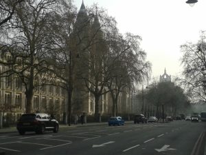 The Natural History Museum