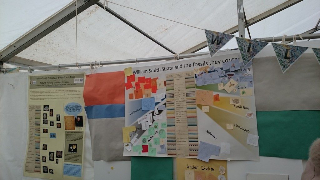 Natural History Museum's stand at Lyme Regis Fossil Festival on William Smith