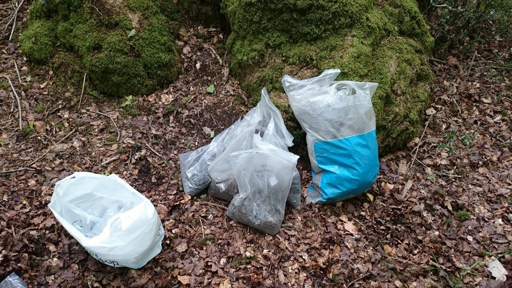 Bags of leaf litter after sieving