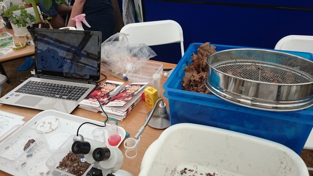 Equipment for looking at leaf litter invertebrates