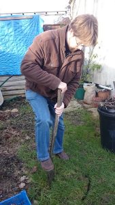 Andrew digging the hole for earthworms