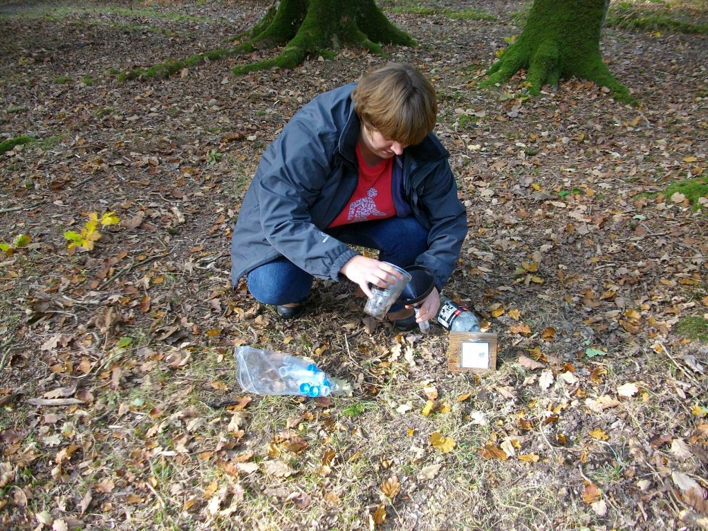 Collecting pitfall trap samples