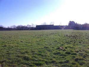 Field in the New Forest - a frosty but sunny day for earthworm sampling